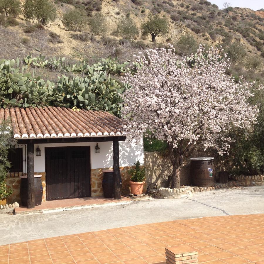Cortijo Pilongo Daire Monachil Dış mekan fotoğraf